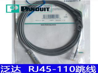 泛达RJ45-RJ11跳线 鸭嘴跳线